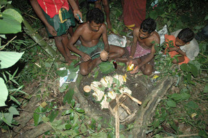 (This photo and next) The spirits are then invoked to protect them from the bees and to ask that the bees should not be too angry with them for taking away the honey. They also pray that bears and elephants should not come and attack them since both these animals are attracted by the smell of honey.