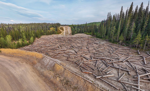 The construction of the Coastal Gaslink (CGL) pipeline over Wet'suwet'en territory in North British Columbia, Canada, has left a trail of destruction in its wake.Photo: Fernando Lessa/Alamy