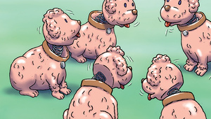 Illustration: P J Polyp