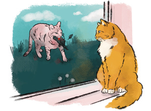 Illustration: Javie Huxley